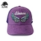 3D Embroidered Cap